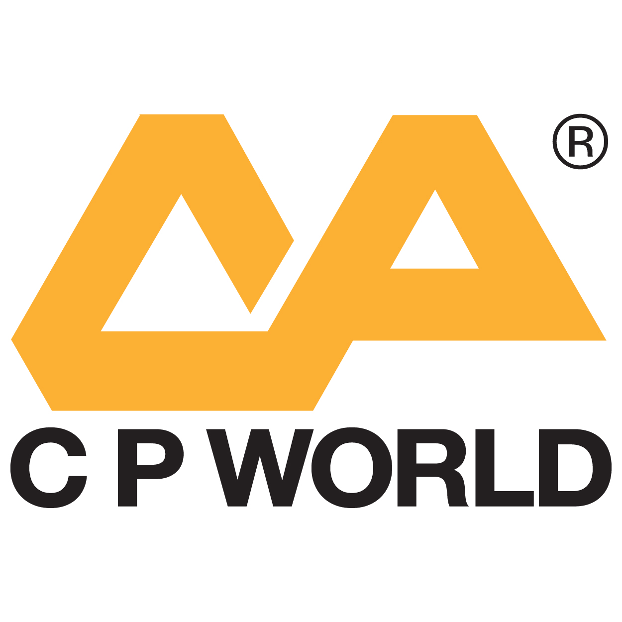 26_C P WORLD LINES PVT. LTD.